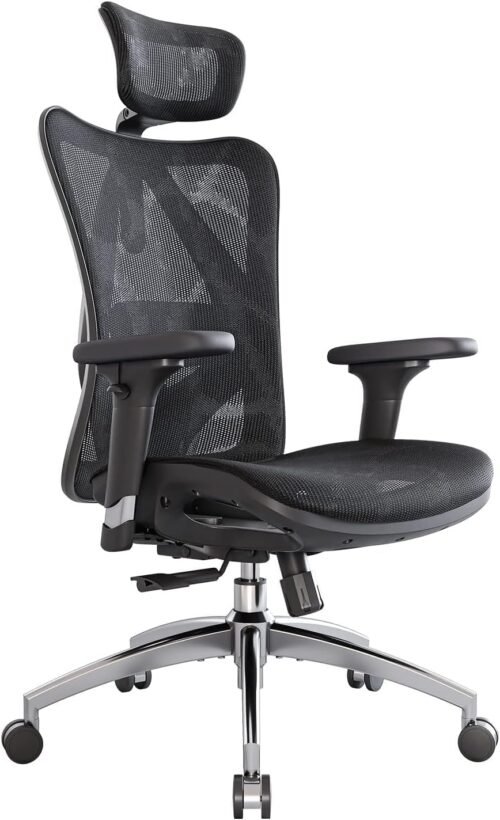 SIHOO M57 Ergonomic Office Chair with 3 Way Armrests Lumbar Support and Adjustable Headrest High Back with Tilt Function (Black)